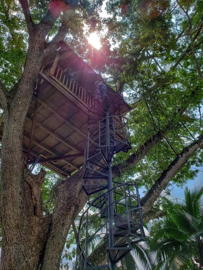 Casa En El Arbol Villa Utica Bagian luar foto