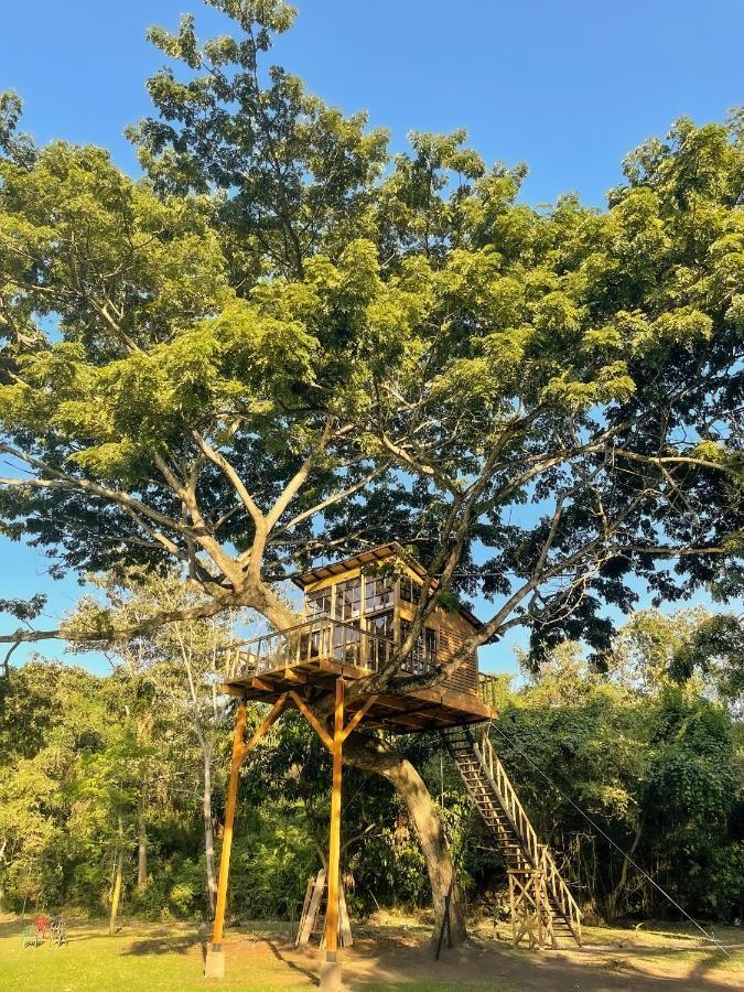 Casa En El Arbol Villa Utica Bagian luar foto