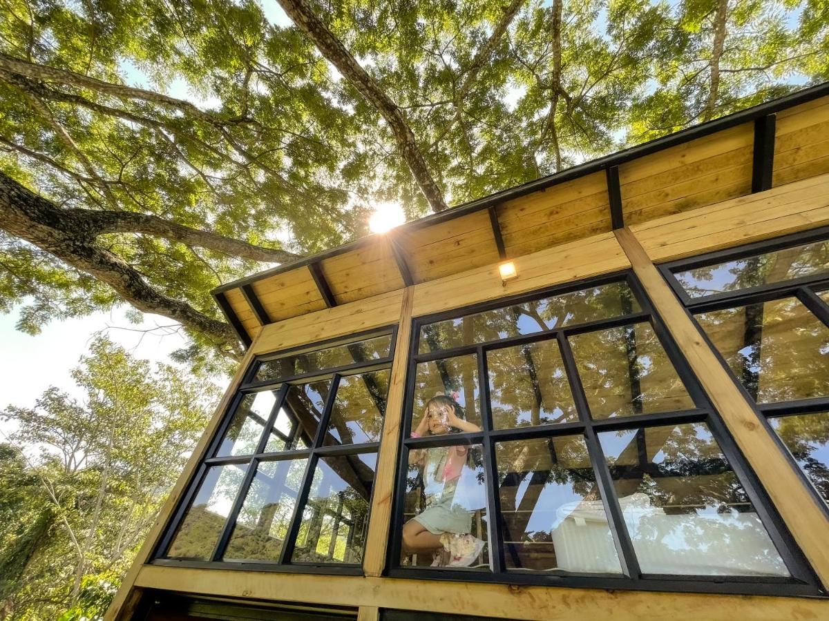 Casa En El Arbol Villa Utica Bagian luar foto