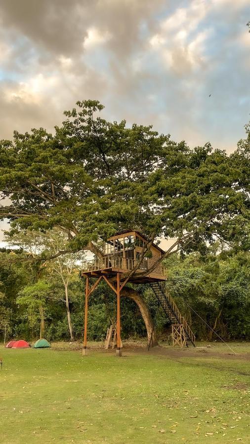 Casa En El Arbol Villa Utica Bagian luar foto